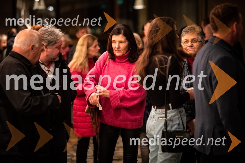 Primeri inšpektorja Vrenka, predpremiera v Gledališču Park