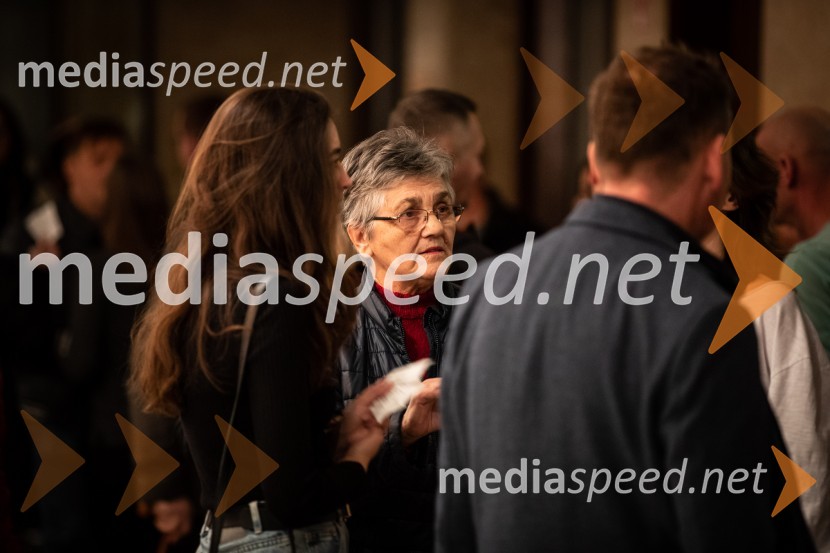 Primeri inšpektorja Vrenka, predpremiera v Gledališču Park