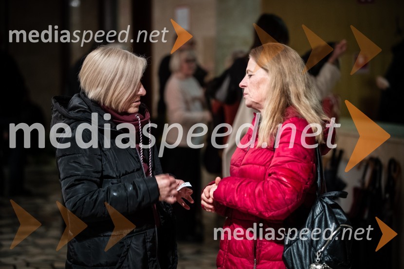 Primeri inšpektorja Vrenka, predpremiera v Gledališču Park