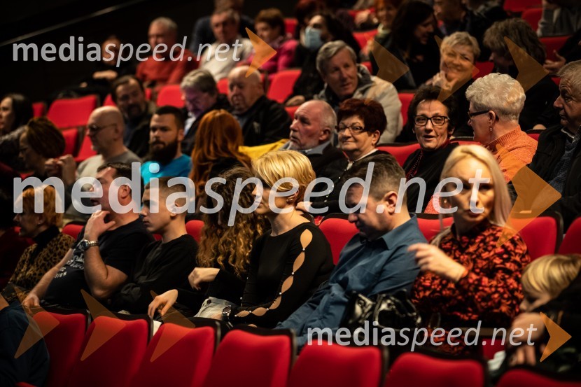 Primeri inšpektorja Vrenka, predpremiera v Gledališču Park