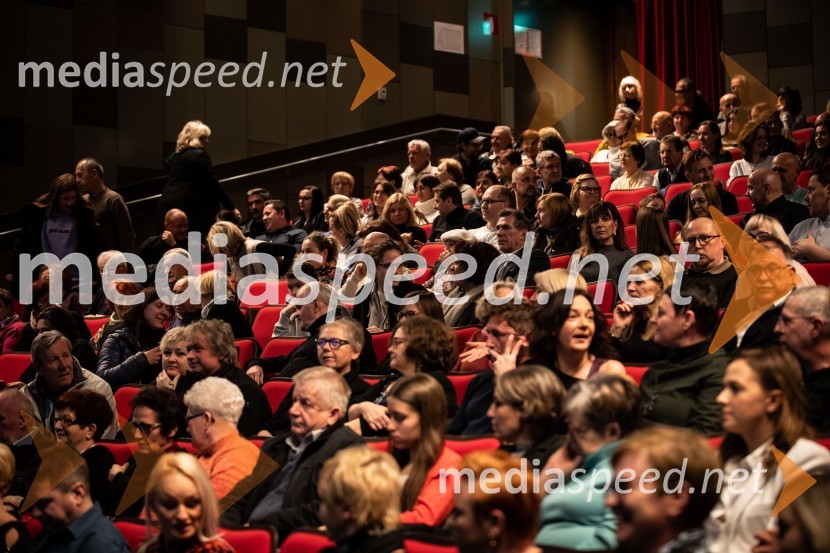 Primeri inšpektorja Vrenka, predpremiera v Gledališču Park