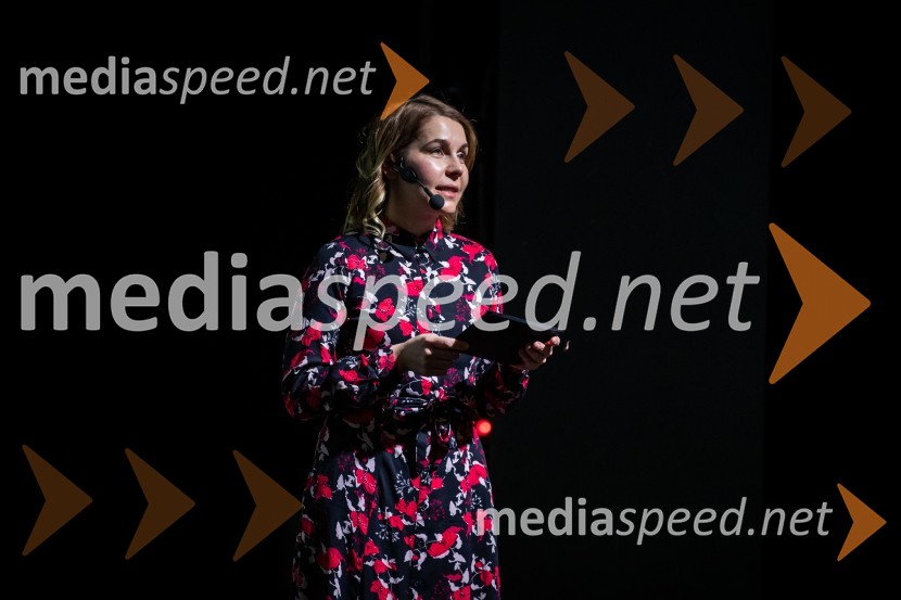 Primeri inšpektorja Vrenka, predpremiera v Gledališču Park