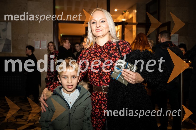 Primeri inšpektorja Vrenka, predpremiera v Gledališču Park