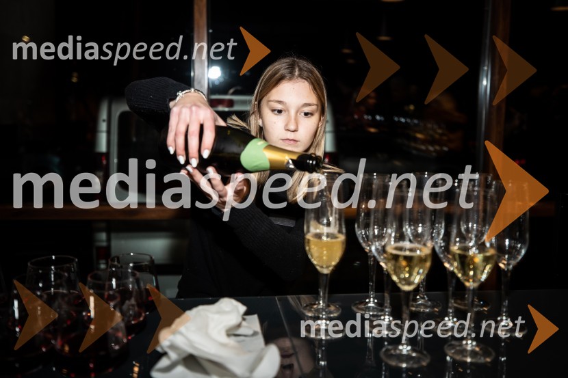 Primeri inšpektorja Vrenka, predpremiera v Gledališču Park