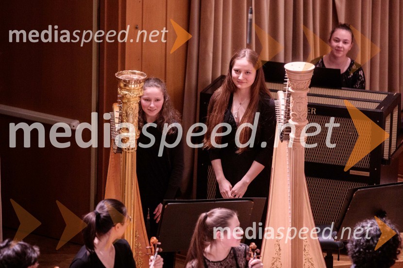 Nemški narodni mladinski orkester, koncert v Slovenski filharmoniji