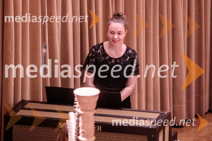 Nemški narodni mladinski orkester, koncert v Slovenski filharmoniji