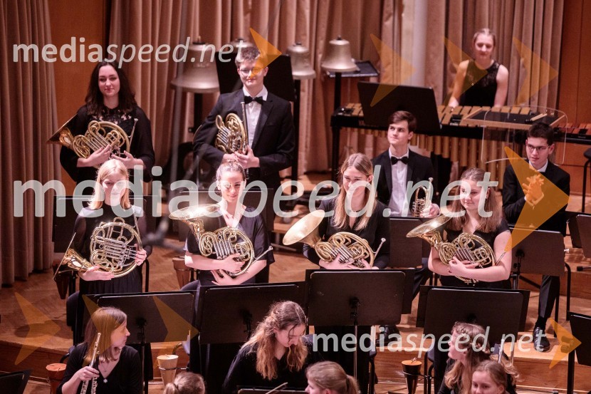 Nemški narodni mladinski orkester, koncert v Slovenski filharmoniji
