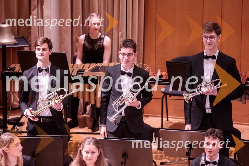 Nemški narodni mladinski orkester, koncert v Slovenski filharmoniji