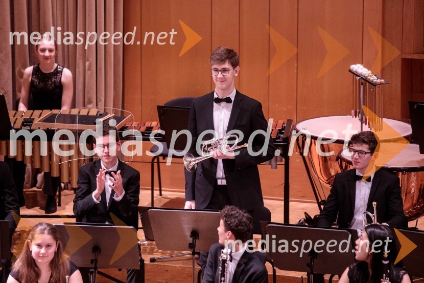 Nemški narodni mladinski orkester, koncert v Slovenski filharmoniji
