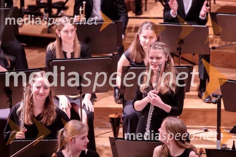 Nemški narodni mladinski orkester, koncert v Slovenski filharmoniji