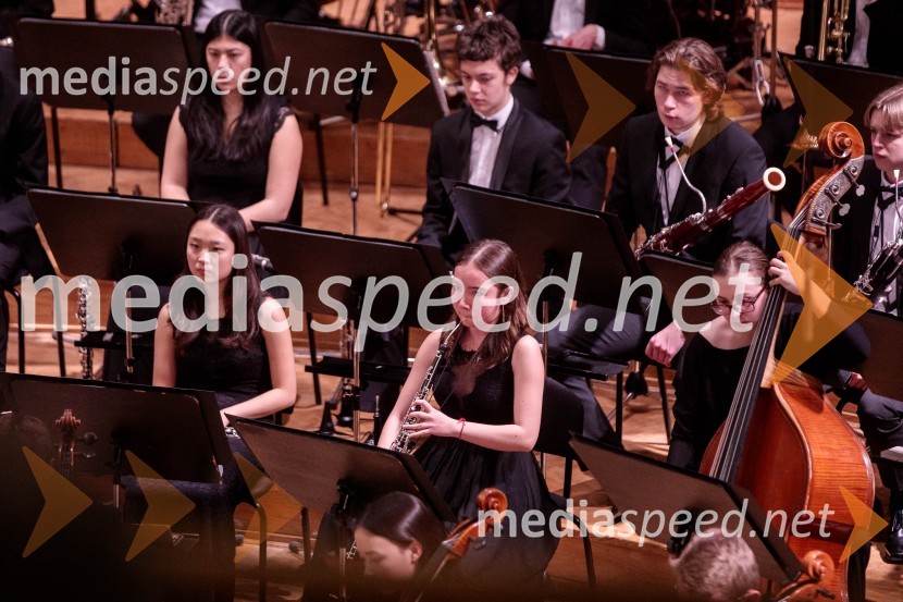 Nemški narodni mladinski orkester, koncert v Slovenski filharmoniji