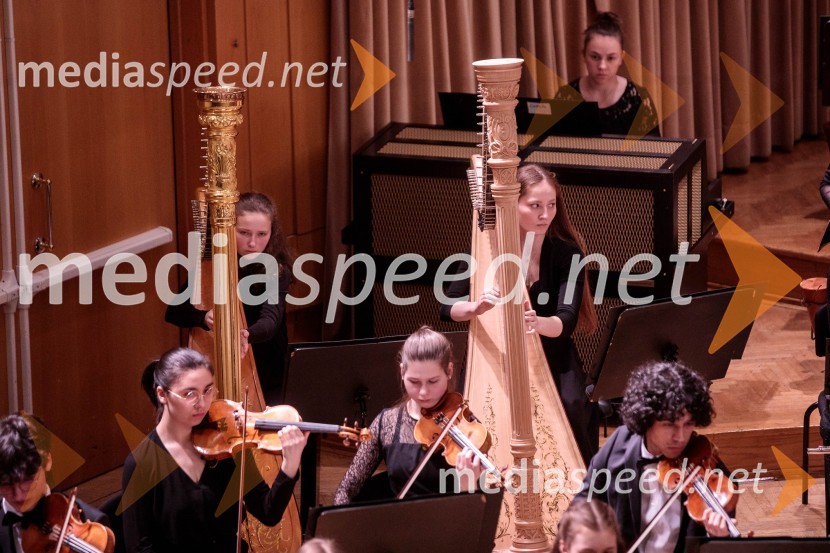 Nemški narodni mladinski orkester, koncert v Slovenski filharmoniji