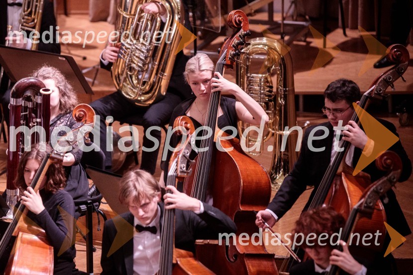 Nemški narodni mladinski orkester, koncert v Slovenski filharmoniji