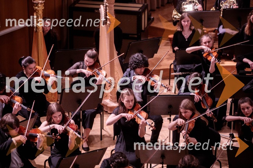 Nemški narodni mladinski orkester, koncert v Slovenski filharmoniji