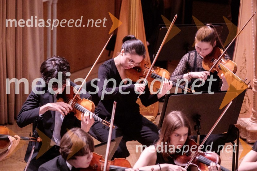 Nemški narodni mladinski orkester, koncert v Slovenski filharmoniji