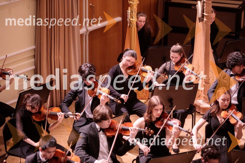Nemški narodni mladinski orkester, koncert v Slovenski filharmoniji