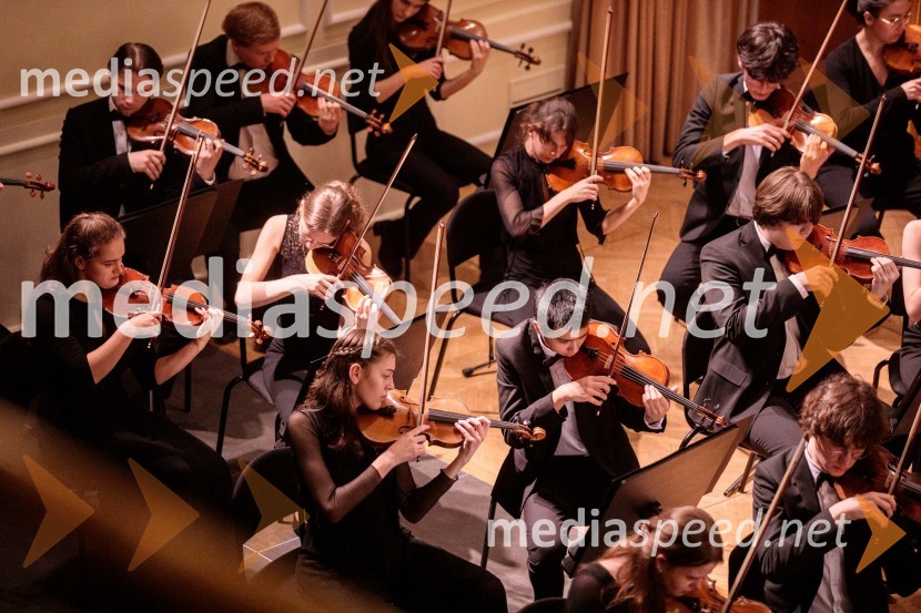 Nemški narodni mladinski orkester, koncert v Slovenski filharmoniji