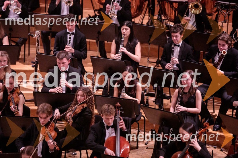 Nemški narodni mladinski orkester, koncert v Slovenski filharmoniji