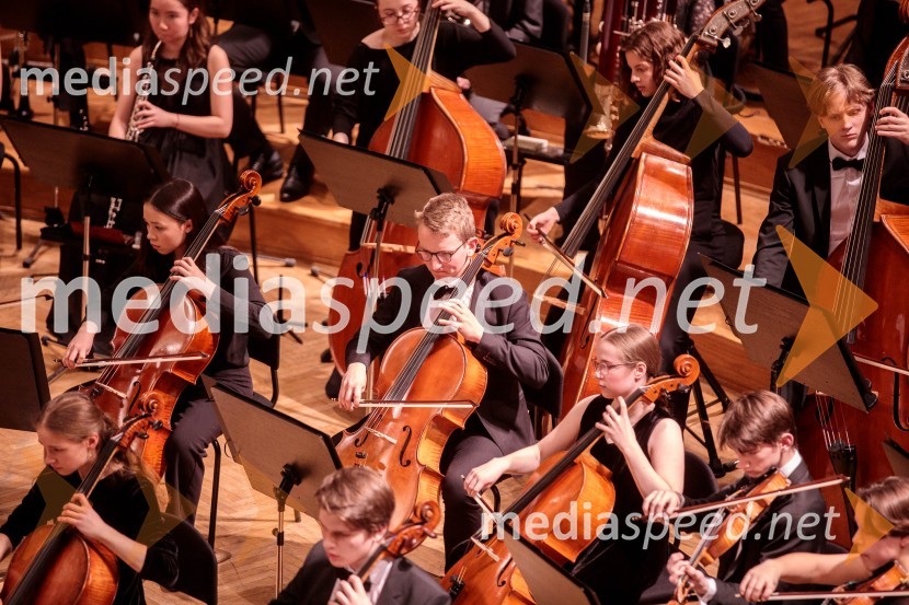 Nemški narodni mladinski orkester, koncert v Slovenski filharmoniji