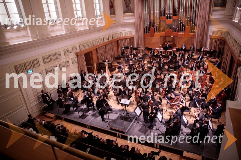 Nemški narodni mladinski orkester, koncert v Slovenski filharmoniji