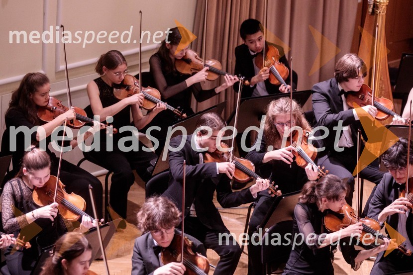 Nemški narodni mladinski orkester, koncert v Slovenski filharmoniji