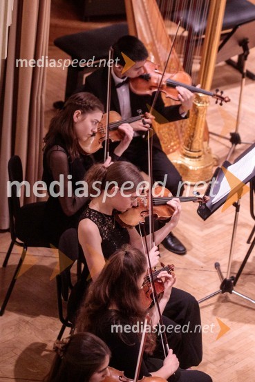 Nemški narodni mladinski orkester, koncert v Slovenski filharmoniji