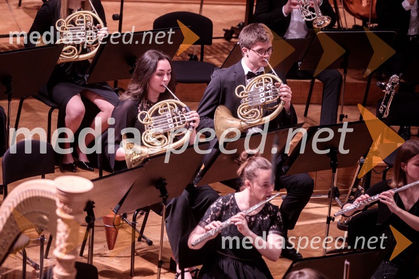 Nemški narodni mladinski orkester, koncert v Slovenski filharmoniji