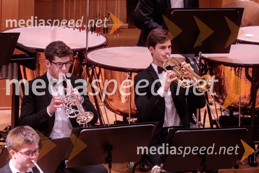 Nemški narodni mladinski orkester, koncert v Slovenski filharmoniji