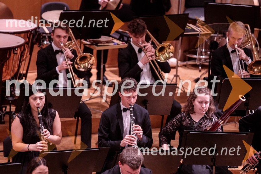 Nemški narodni mladinski orkester, koncert v Slovenski filharmoniji