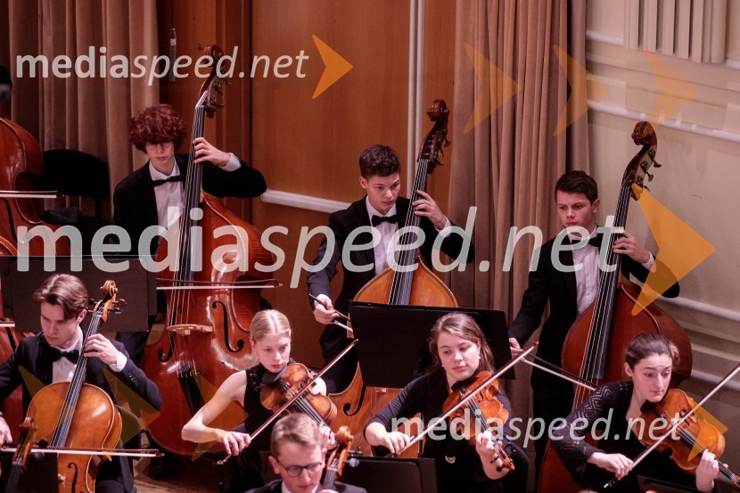 Nemški narodni mladinski orkester, koncert v Slovenski filharmoniji