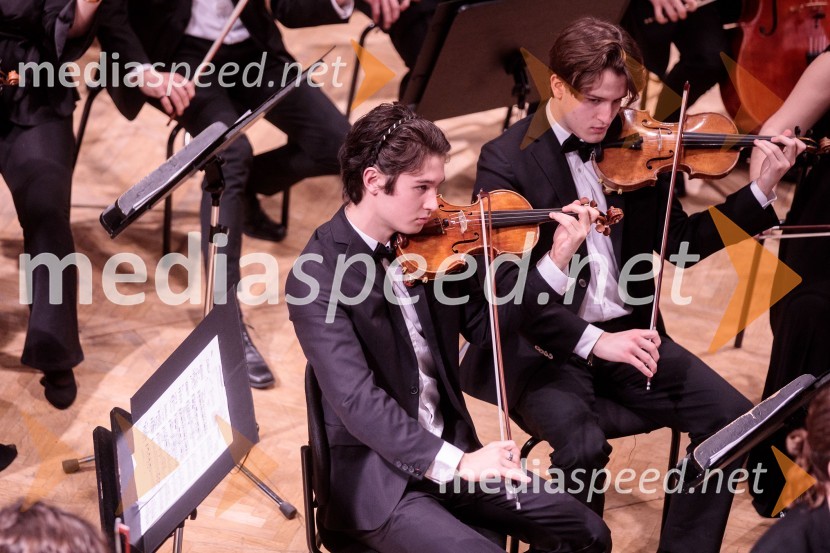 Nemški narodni mladinski orkester, koncert v Slovenski filharmoniji