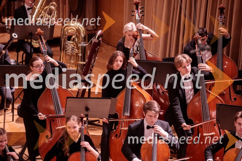 Nemški narodni mladinski orkester, koncert v Slovenski filharmoniji