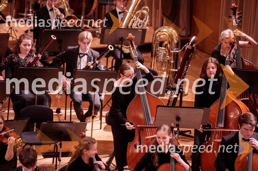Nemški narodni mladinski orkester, koncert v Slovenski filharmoniji