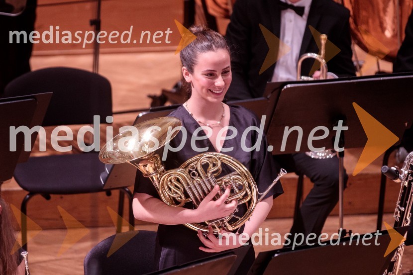 Nemški narodni mladinski orkester, koncert v Slovenski filharmoniji