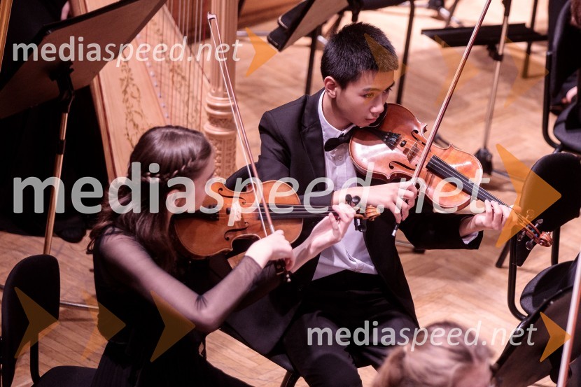 Nemški narodni mladinski orkester, koncert v Slovenski filharmoniji