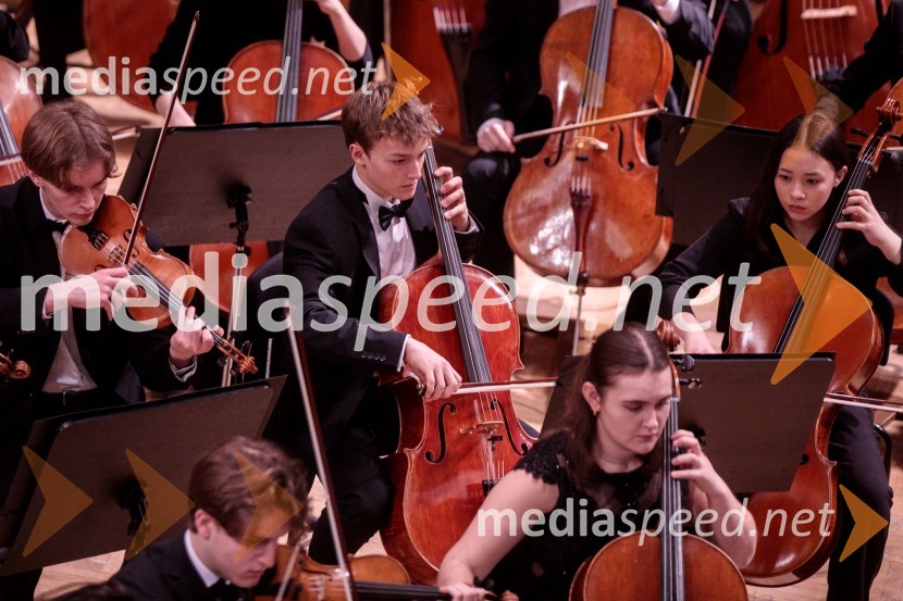 Nemški narodni mladinski orkester, koncert v Slovenski filharmoniji