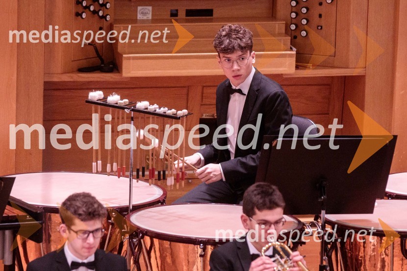 Nemški narodni mladinski orkester, koncert v Slovenski filharmoniji