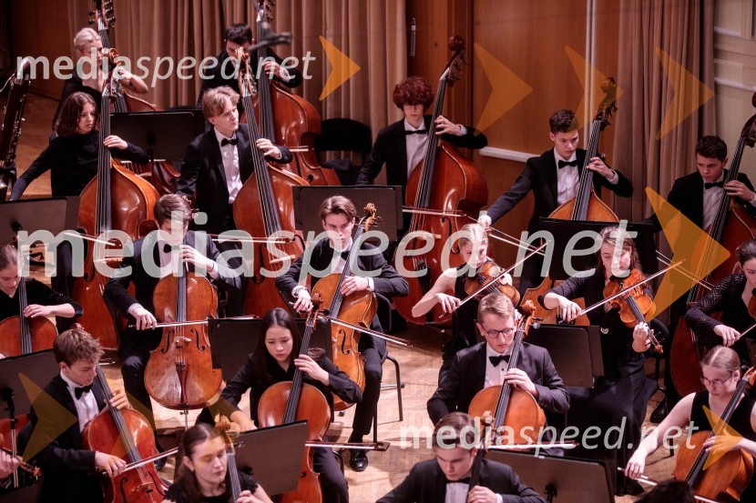 Nemški narodni mladinski orkester, koncert v Slovenski filharmoniji