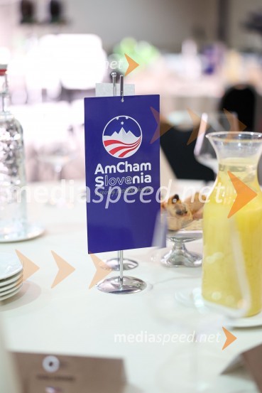 AmCham poslovni zajtrk “Kaj leto 2023 prinaša slovenskemu gospodarstvu?”