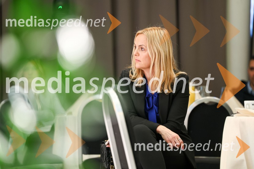  Ajša Vodnik, izvršna direktorica AmCham (Ameriška gospodarska zbornica)AmCham poslovni zajtrk “Kaj leto 2023 prinaša slovenskemu gospodarstvu?”