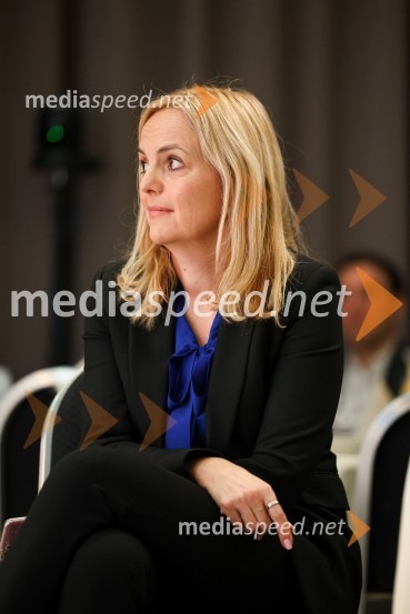  Ajša Vodnik, izvršna direktorica AmCham (Ameriška gospodarska zbornica)AmCham poslovni zajtrk “Kaj leto 2023 prinaša slovenskemu gospodarstvu?”