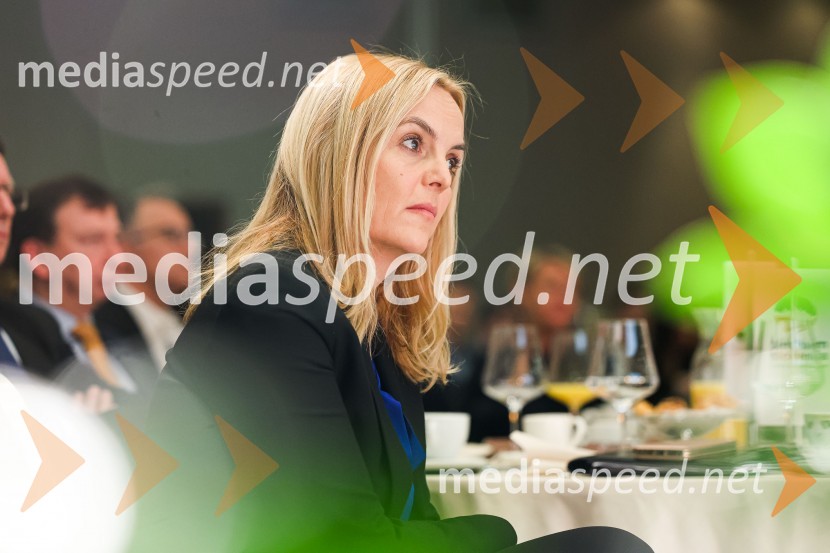  Ajša Vodnik, izvršna direktorica AmCham (Ameriška gospodarska zbornica)AmCham poslovni zajtrk “Kaj leto 2023 prinaša slovenskemu gospodarstvu?”