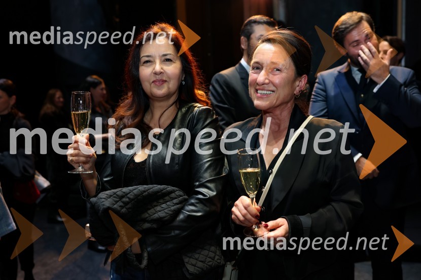 Romeo in Julija, jubilejna predstava ob 30-letnici umetniškega ustvarjanja Valentine Turcu