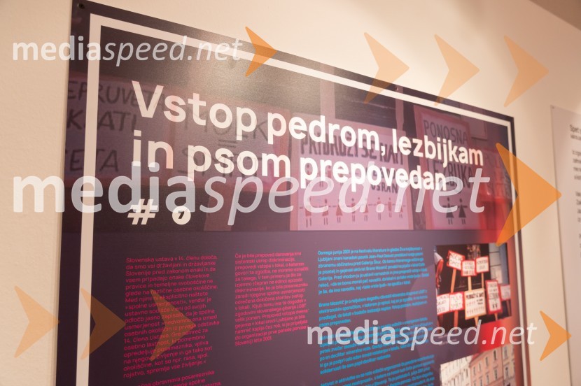 Novinarska konferenca pred odprtjem razstave Ste me hoteli videti strto? Muzej človekovih pravic