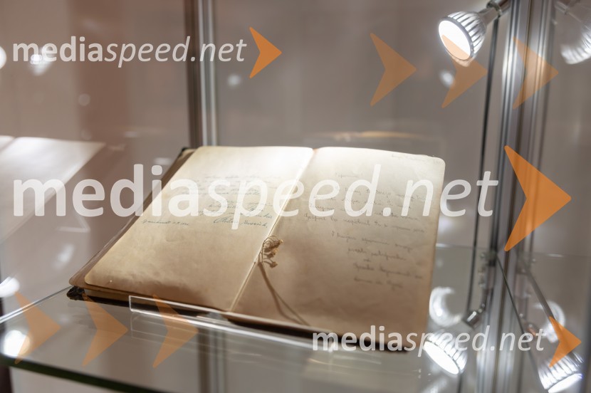 Novinarska konferenca pred odprtjem razstave Ste me hoteli videti strto? Muzej človekovih pravic