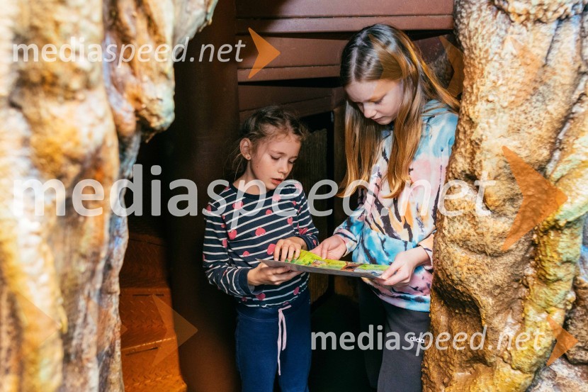 Džungelske dogodivščine v Citycentru Celje