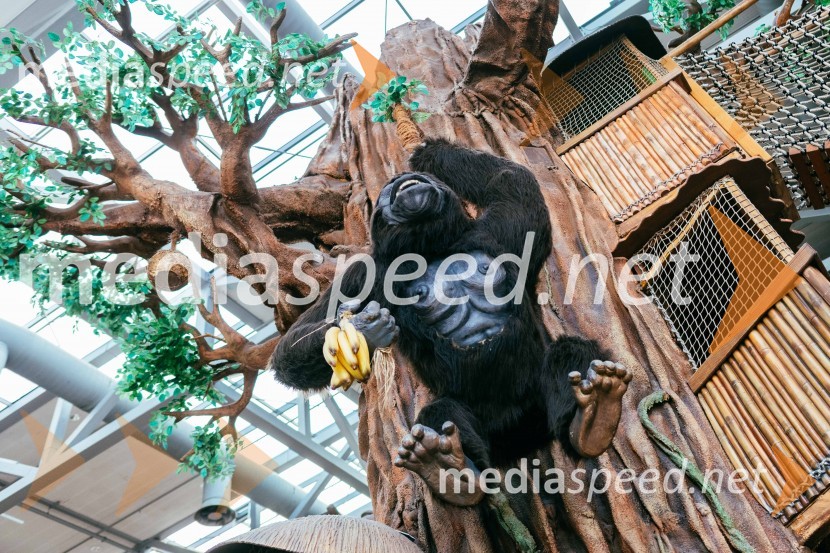 Džungelske dogodivščine v Citycentru Celje