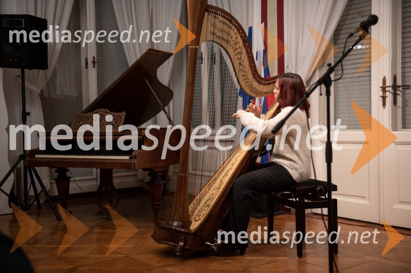  Aleksandra Mohorko, harfistka