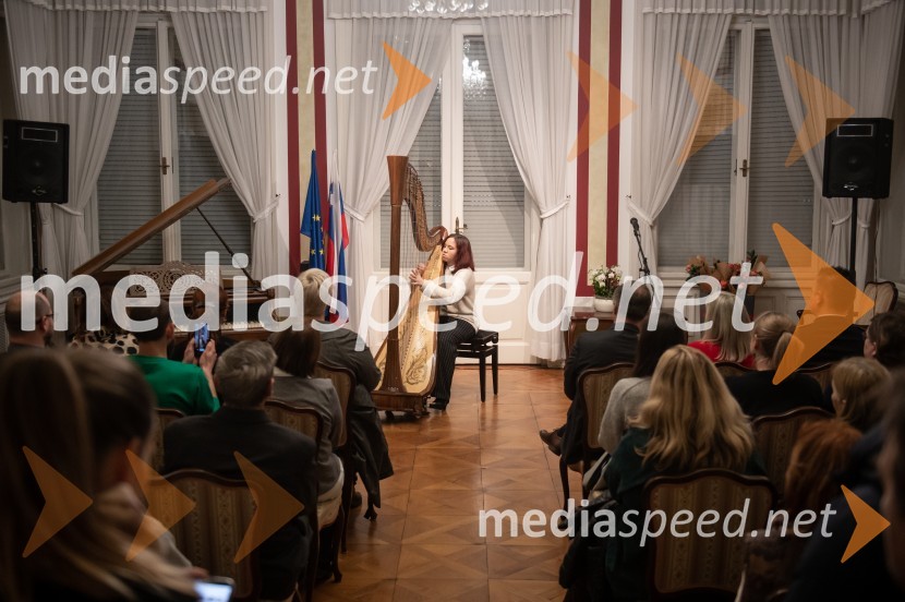  Aleksandra Mohorko, harfistka