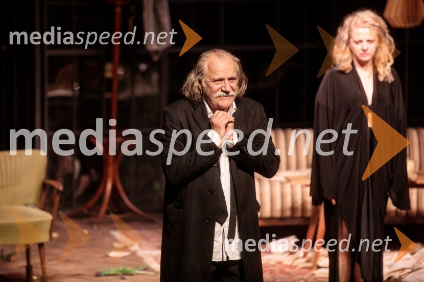  Rade Šerbedžija, igralec, glasbenikKdo se boji Virginie Woolf?, gledališki festival Ruta Grupa Triglav 2023